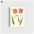 アートメモ帳-Tulipa gesneriana
 - マリア ジビーラ メーリアン Memo.
