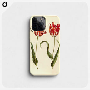 1-64_Maria-Sibylla-Merian_phone