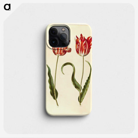 1-64_Maria-Sibylla-Merian_phone