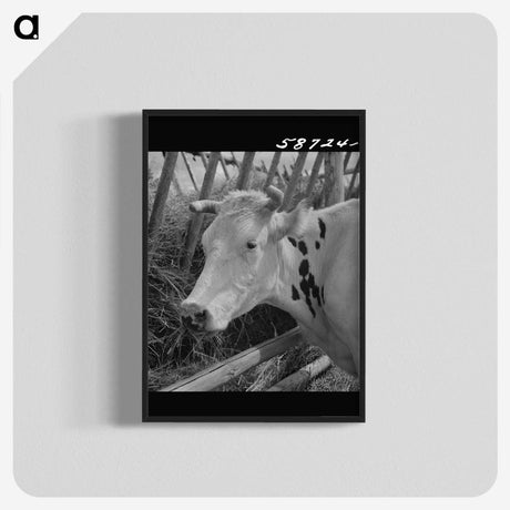 1-64_Marion-Post-Wolcott_blk-crop