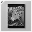 1-64_Marion-Post-Wolcott_canvas