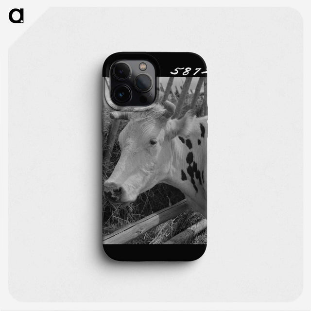 1-64_Marion-Post-Wolcott_phone