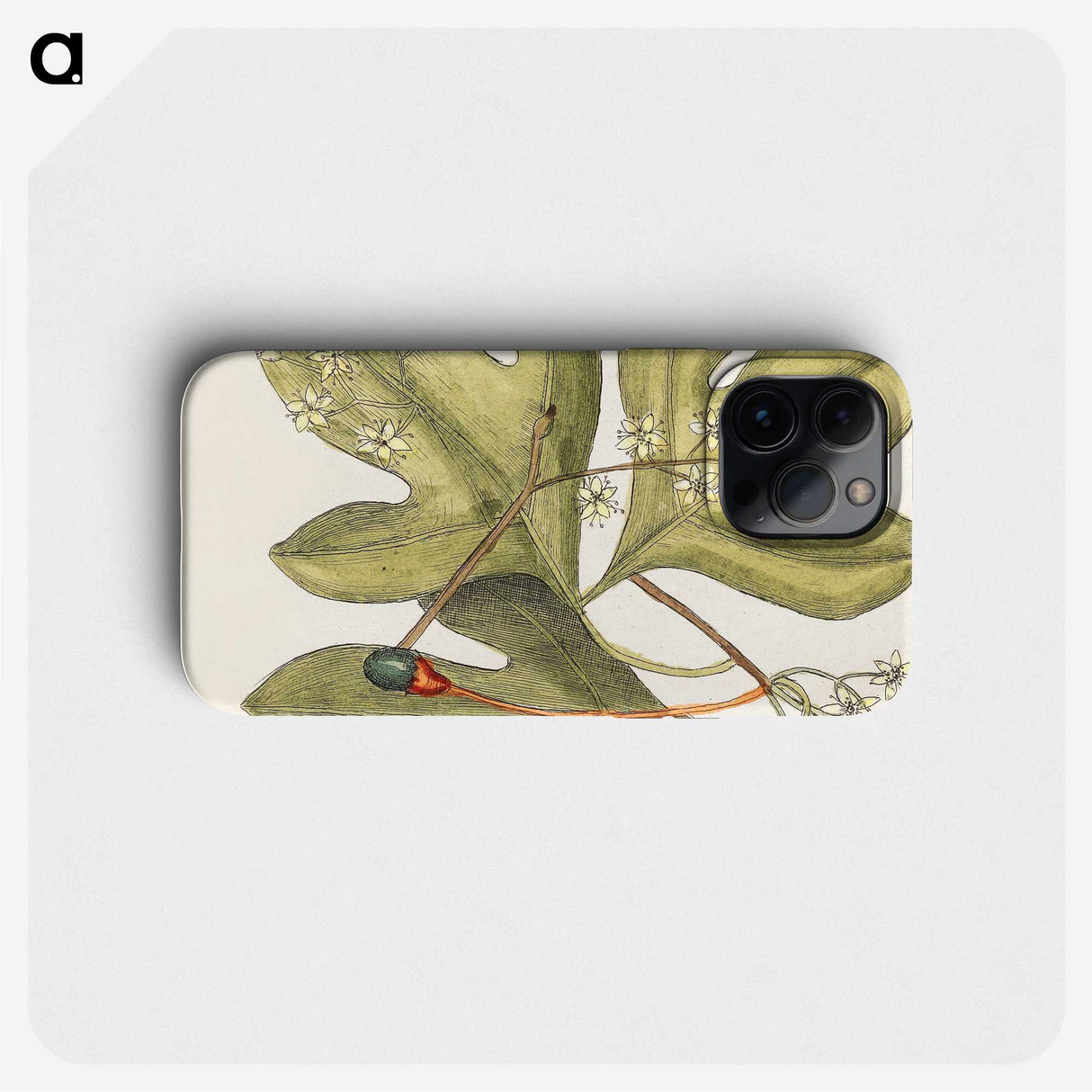 1-64_Mark-Catesby_phone