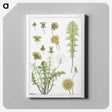 1-64_Maurice-Pillard-Verneuil_canvas