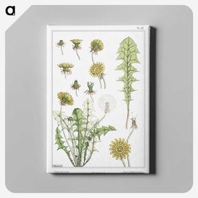 1-64_Maurice-Pillard-Verneuil_canvas
