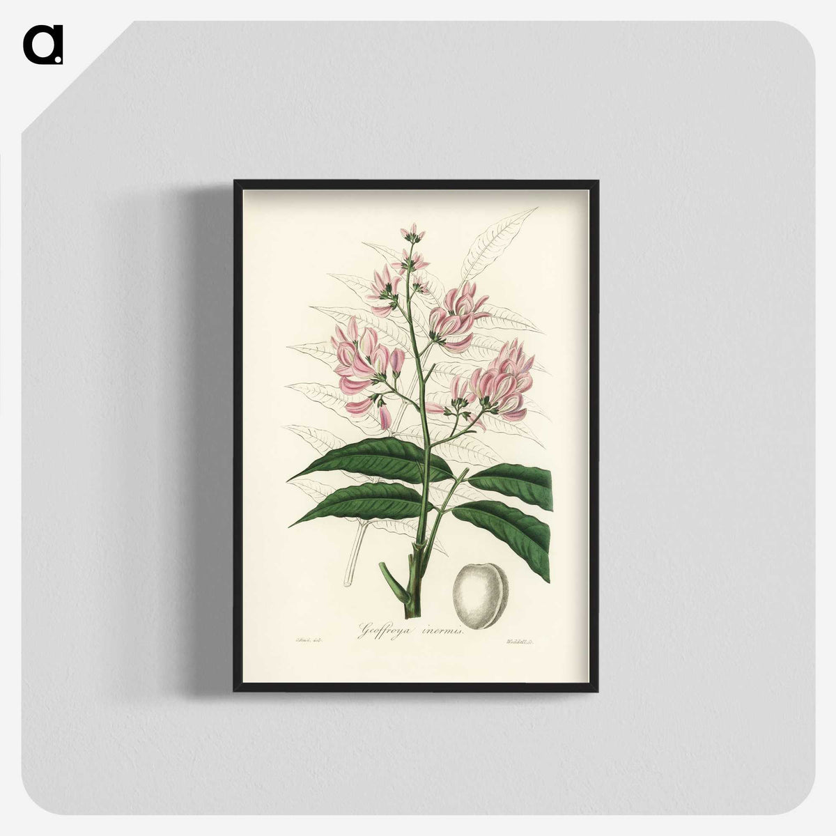 1-64_Medical-Botany_blk-crop