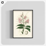 1-64_Medical-Botany_blk-crop