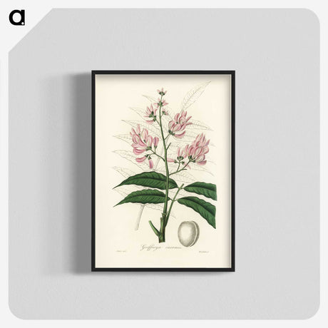 1-64_Medical-Botany_blk-crop