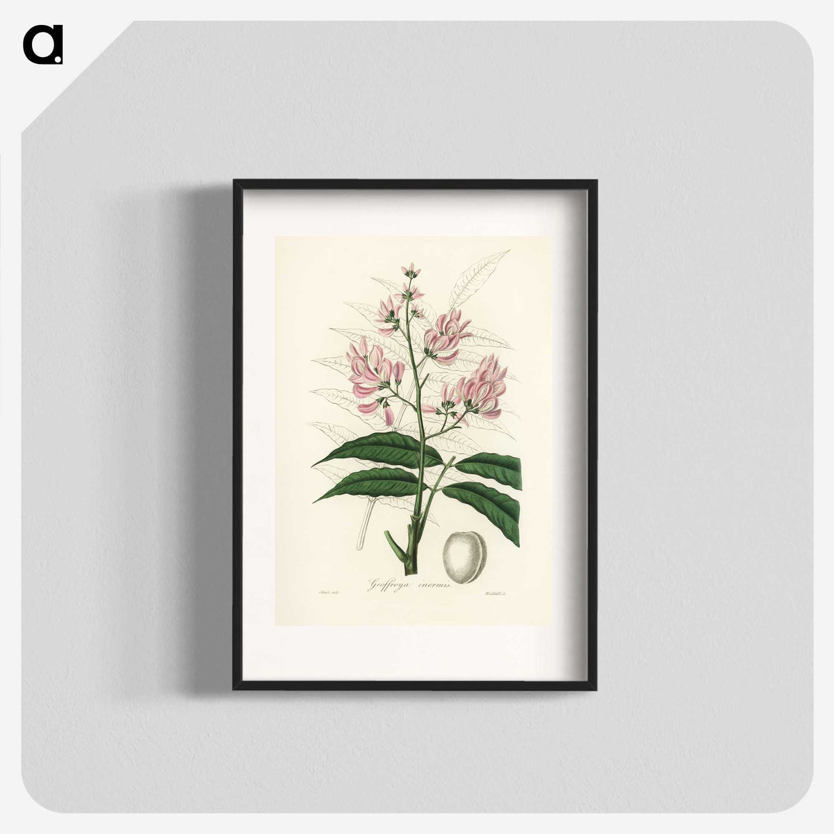 1-64_Medical-Botany_blk