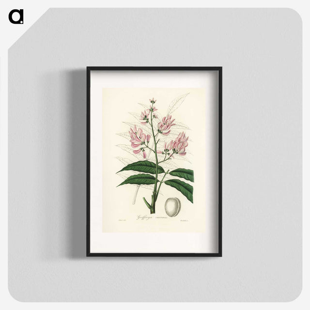 1-64_Medical-Botany_blk