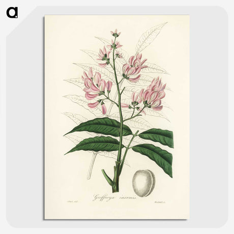 1-64_Medical-Botany_picture-crop