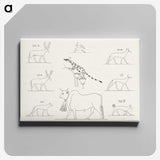 1-64_Monuments-of-Egypt-and-Nubia_canvas
