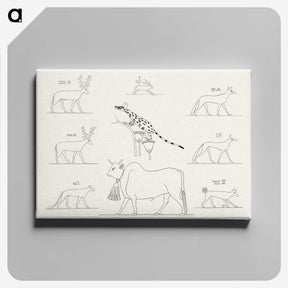 1-64_Monuments-of-Egypt-and-Nubia_canvas