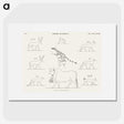 1-64_Monuments-of-Egypt-and-Nubia_picture