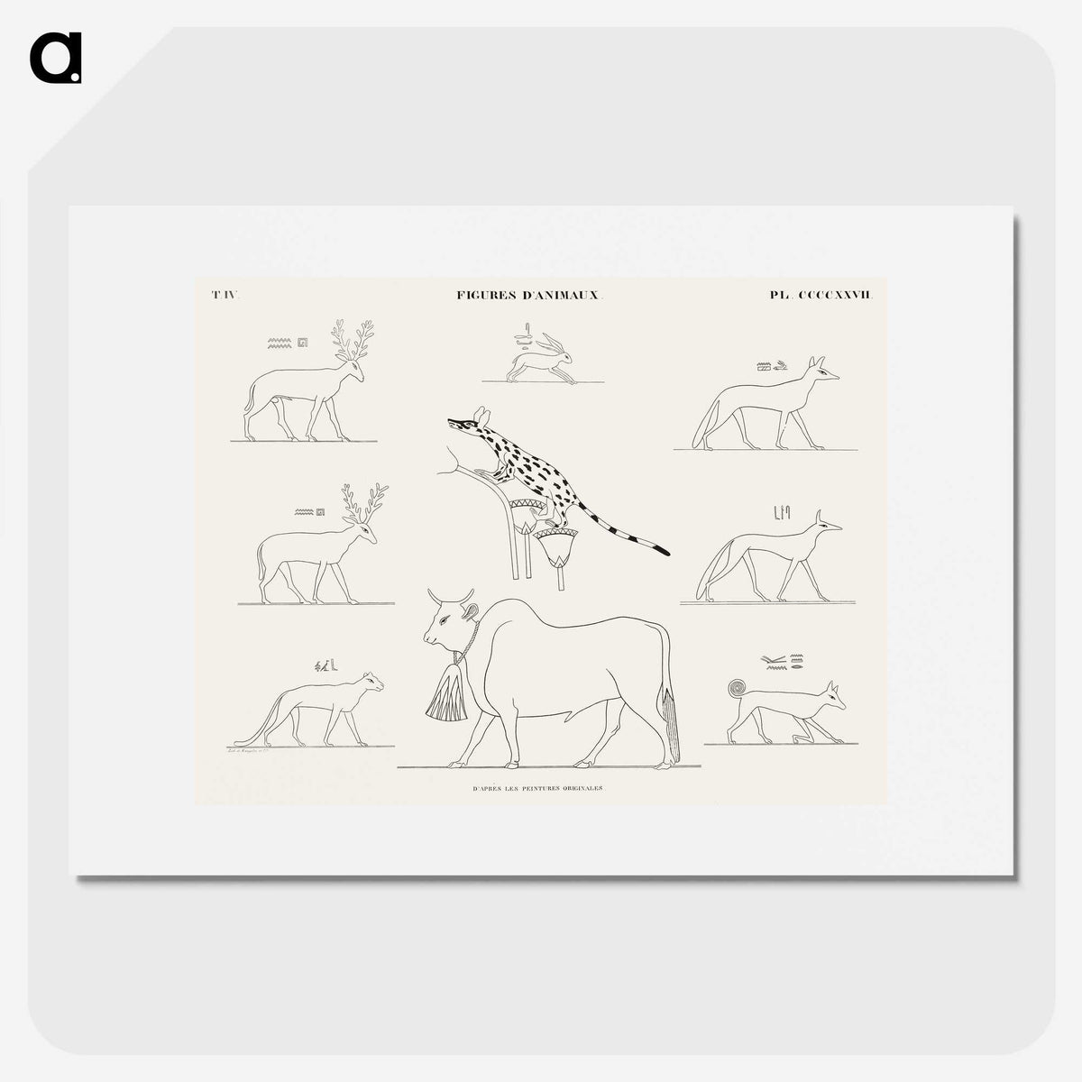1-64_Monuments-of-Egypt-and-Nubia_picture