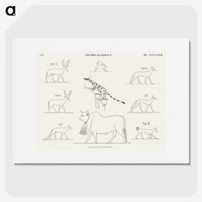 1-64_Monuments-of-Egypt-and-Nubia_picture