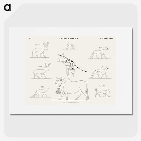 1-64_Monuments-of-Egypt-and-Nubia_picture