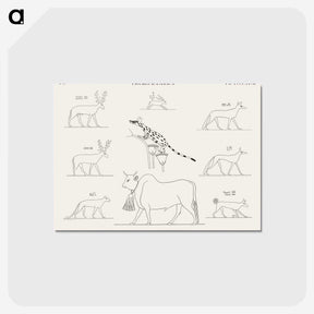 1-64_Monuments-of-Egypt-and-Nubia_postcard