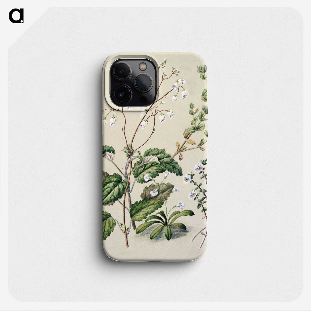 1-64_Native-Flowering-Plants-of-New-Zealand_phone