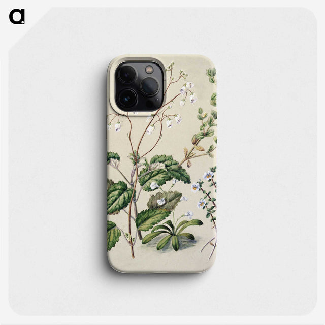 1-64_Native-Flowering-Plants-of-New-Zealand_phone