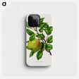 1-64_Nederlandsche-Flora-en-Pomona_phone