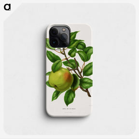 1-64_Nederlandsche-Flora-en-Pomona_phone