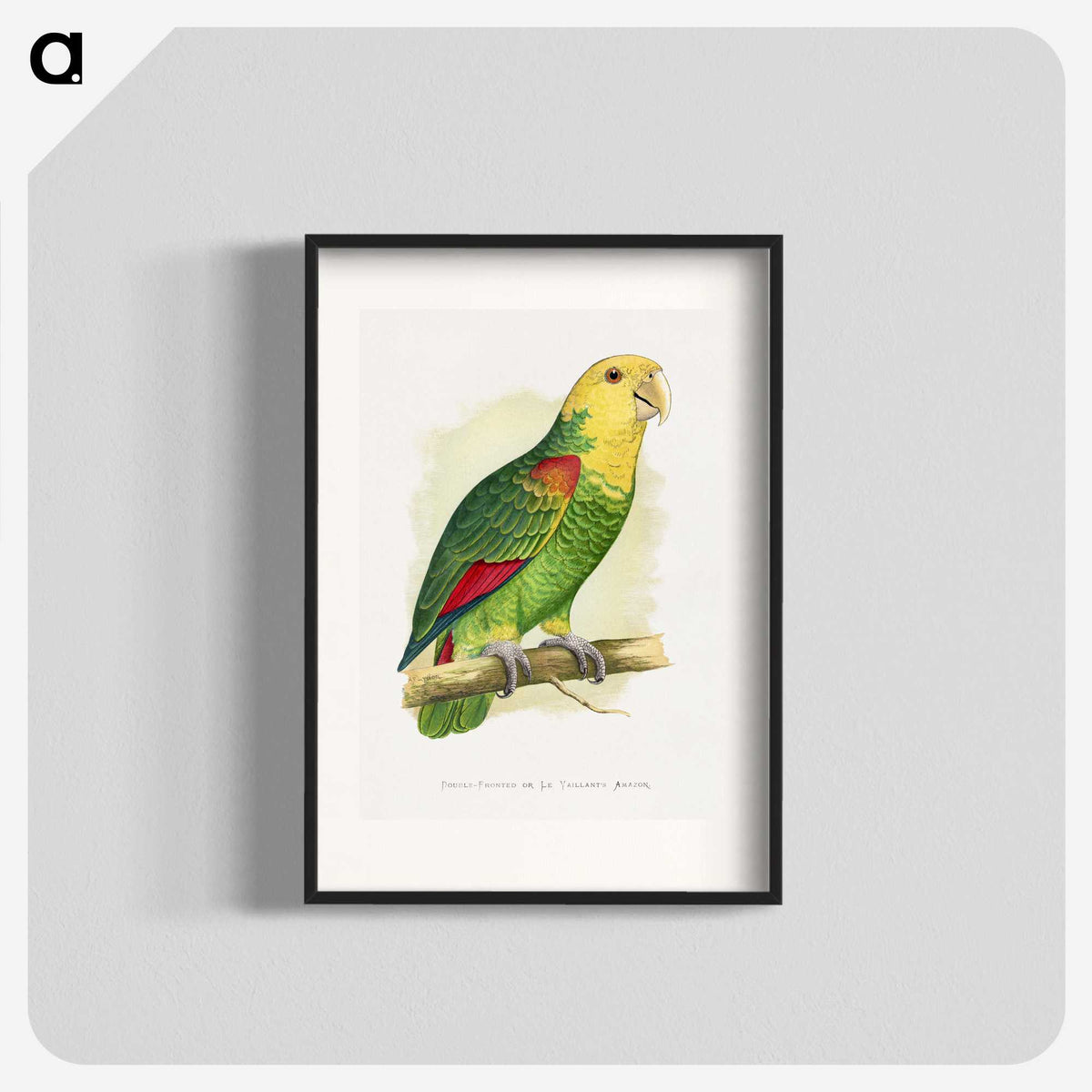1-64_Parrots-in-Captivity_blk