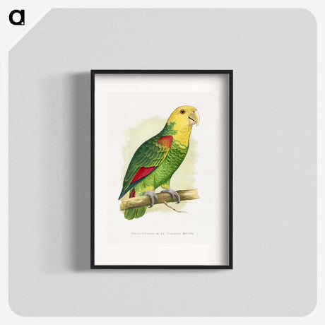 1-64_Parrots-in-Captivity_blk