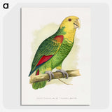 1-64_Parrots-in-Captivity_picture-crop