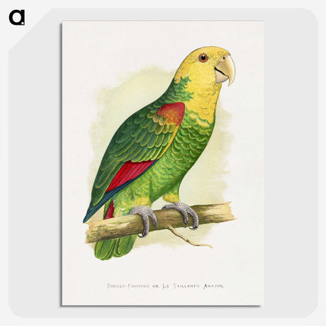 1-64_Parrots-in-Captivity_picture-crop