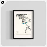 アートポスター-Japanese Great Tit and Japanese Cypress
 - 鳥類図鑑 Poster.