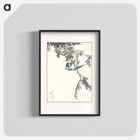 アートポスター-Japanese Great Tit and Japanese Cypress
 - 鳥類図鑑 Poster.