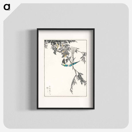 アートポスター-Japanese Great Tit and Japanese Cypress
 - 鳥類図鑑 Poster.