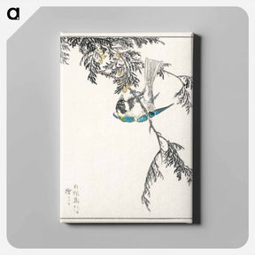 アートパネル-Japanese Great Tit and Japanese Cypress
 - 鳥類図鑑 Canvas.