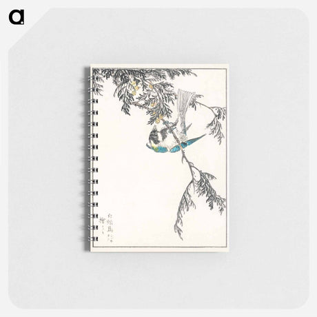 アートメモ帳-Japanese Great Tit and Japanese Cypress
 - 鳥類図鑑 Memo.