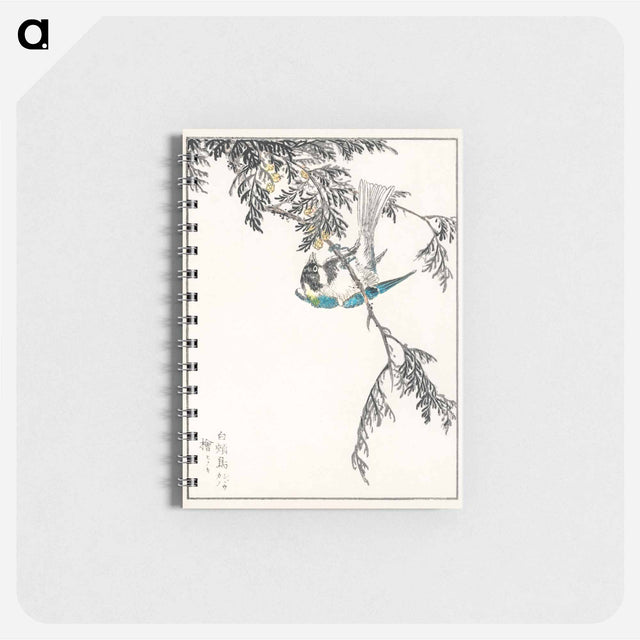 アートメモ帳-Japanese Great Tit and Japanese Cypress
 - 鳥類図鑑 Memo.