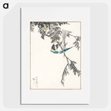 アートポスター-Japanese Great Tit and Japanese Cypress
 - 鳥類図鑑 Poster.