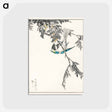 アートポストカード-Japanese Great Tit and Japanese Cypress
 - 鳥類図鑑 Postcard.