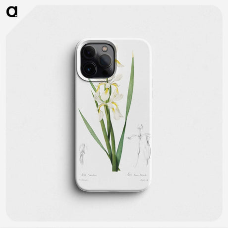 1-64_Pierre-Joseph-Redoute_phone