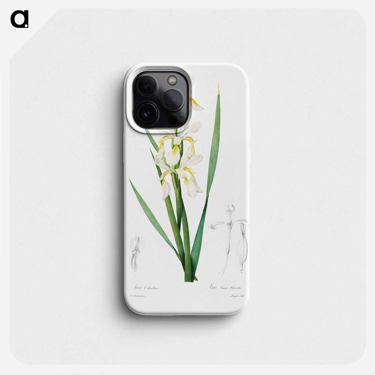 Gold-banded Iris - ピエール ジョゼフ ルドゥーテ Phone Case.