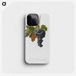1-64_Pomona-Italiana_phone
