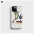 1-64_Robert-Jacob-Gordon_phone