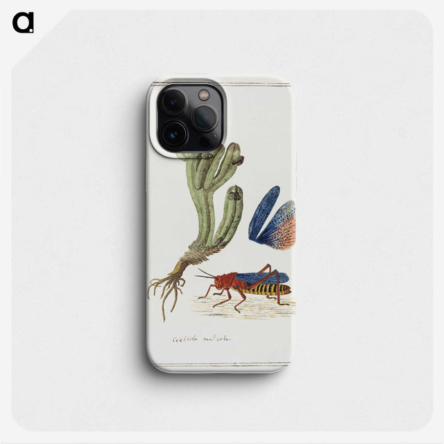 1-64_Robert-Jacob-Gordon_phone