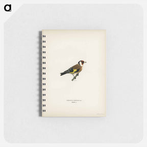 アートメモ帳-European Goldfinch
 - スヴェンスカ フォグラル Memo.