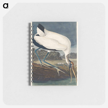 アートメモ帳-Wood Ibiss from Birds of America
 - アメリカの鳥たち Memo.