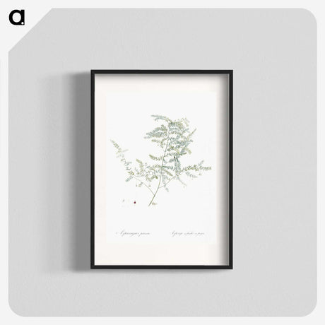 1-64_The-Lilies_blk
