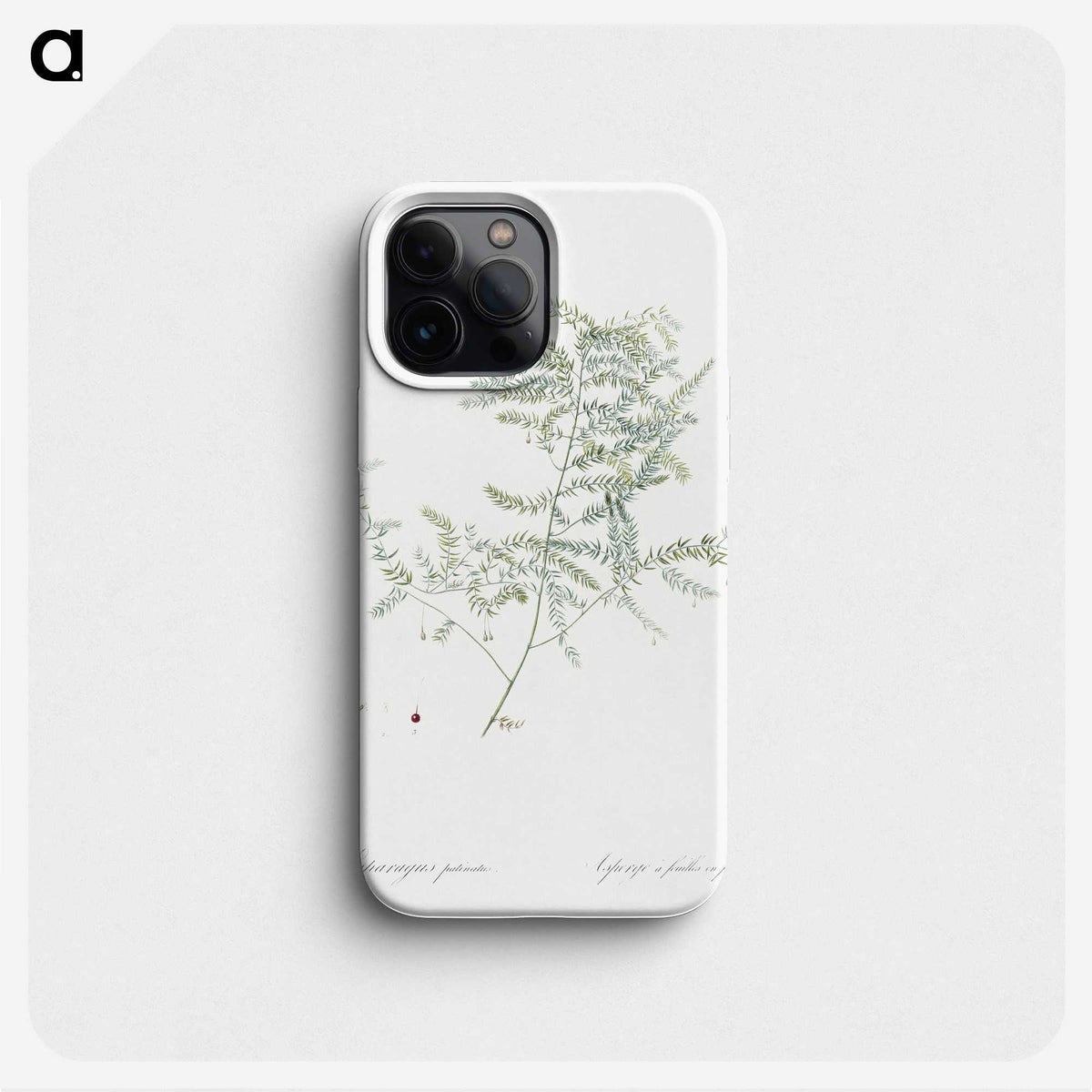1-64_The-Lilies_phone