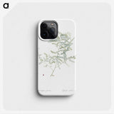 1-64_The-Lilies_phone