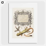 アートポスター-Scorpionfly, Insect, Lizard, and Insect Larva from Mira Calligraphiae Monumenta
 - 書道のお手本 Poster.