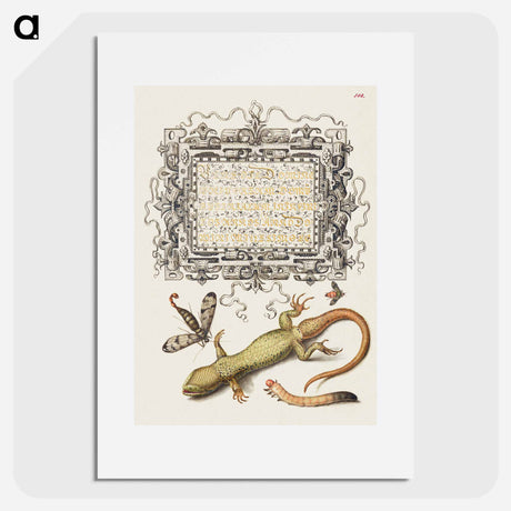 アートポスター-Scorpionfly, Insect, Lizard, and Insect Larva from Mira Calligraphiae Monumenta
 - 書道のお手本 Poster.